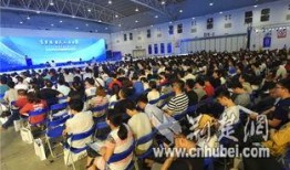 武汉最新爆料照片新闻,街头惊现神秘现象，真相令人震惊！