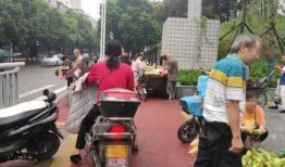 石家庄新华区最新爆料群,最新动态一网打尽