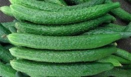 黄瓜农药爆料视频大全最新,最新爆料视频大全深度解析