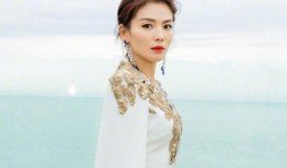 刘涛王珂最新爆料,揭秘夫妻档背后的甜蜜与挑战